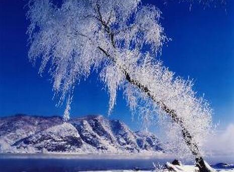 描述冬天感冒的句子