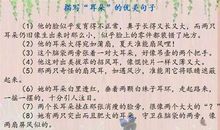 人物外貌的句子