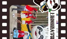 进博会已落幕，进博精神永不落幕——观后感