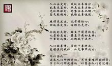 道德经读后感200字