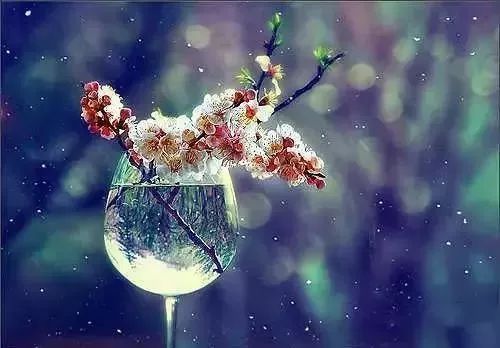 经典语录：感情不是只要一个长期的伴侣，就无需多说爱意