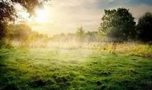 经典语录：宁愿装傻，切莫聪明