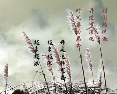 父母小姐的句子