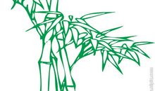 赞颂竹子的诗句