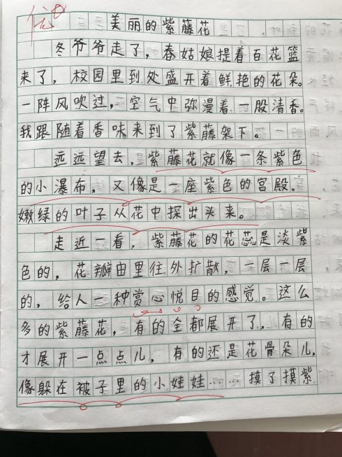 如果我是一朵花，我将与我一起装饰世界