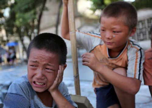 冯继才：刺大黄蜂巢