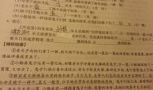 骆驼祥子读后感300字