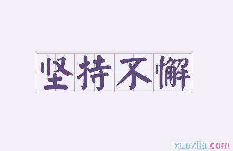 关于毅力的成语