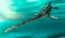 关于包容的个性签名