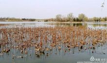 无论命运拐了多少弯，我们也要心存希望