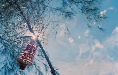 一句话充满信心