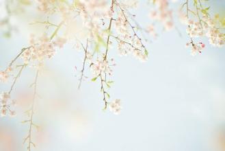 向往幸福的个人签名