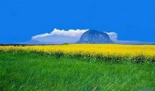 在你选择的路上，不惧困难地坚持！