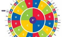 生命有4个层次，你愿活在第几层