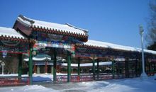 王逸竹：北京之冬