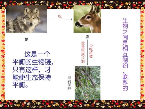 励志人生：罗斯福的故事