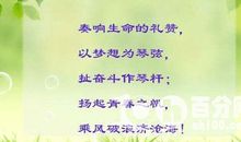 小学班主任班级寄语