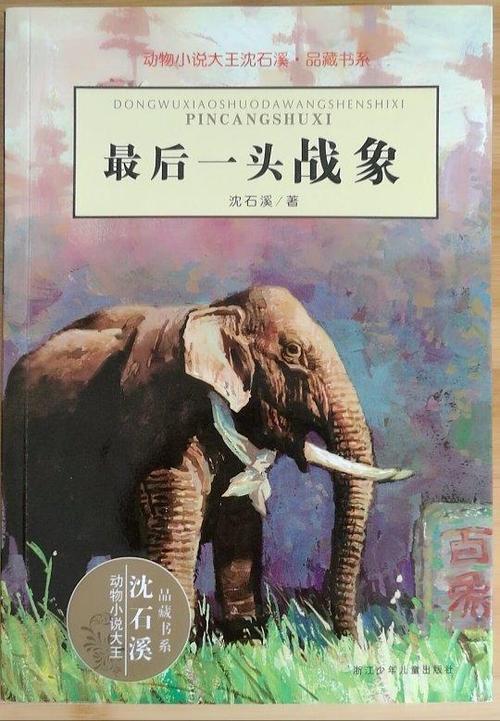 看完最后一战象后的感受