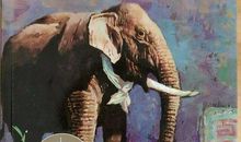 读最后一头战象有感