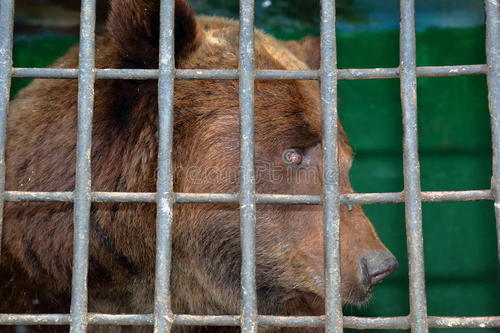 将恶人放在“心灵的监狱”中
