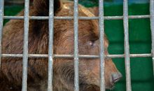 把恶人关进“心里的监牢”