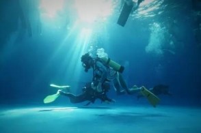 每个商业领袖都有一个健壮的童年