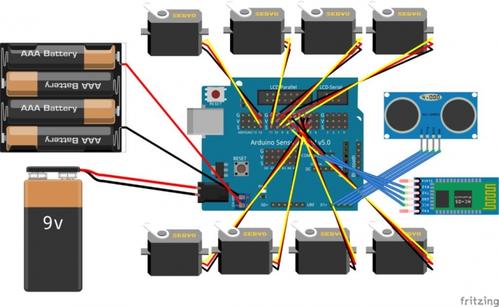 一段很好的描述了乌龟