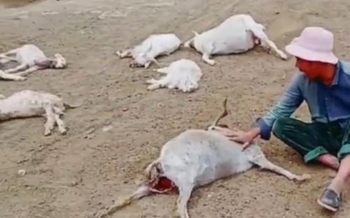 解密陈发枢83亿资产的运作路径