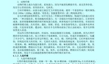 傲慢与偏见读后感800字