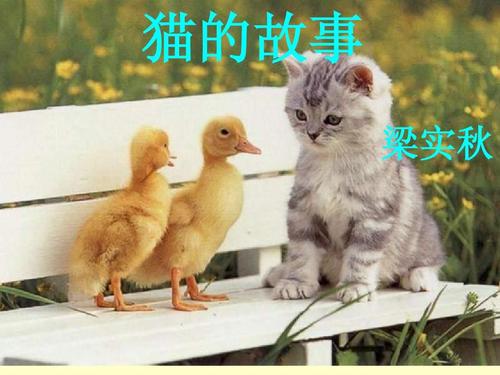 梁世秋：猫的故事