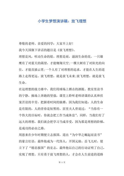 放飞理想的演讲