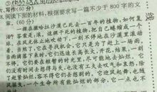 纳斯雷丹·霍查名言