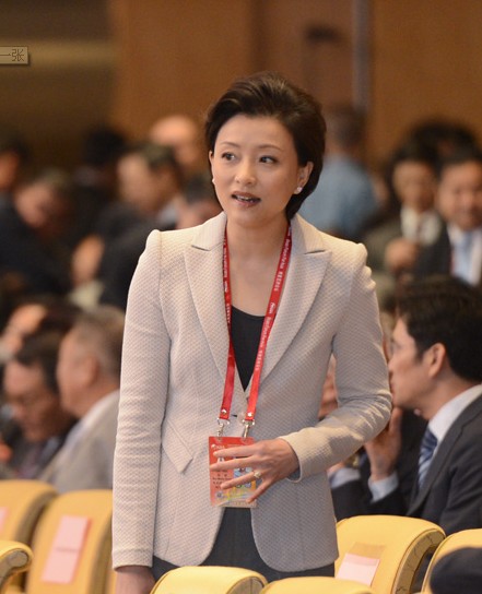 杨澜成功的背景