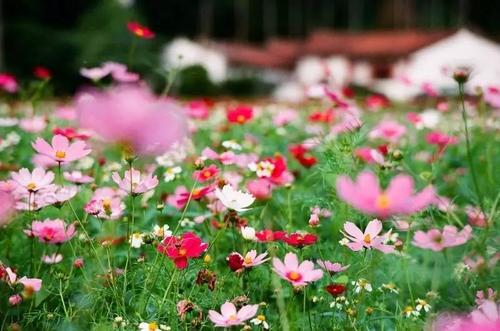 沉启兰：您的阅读使您