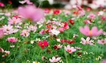 沈奇岚：你的阅读造就了你