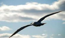 每天读一次读懂这24句话，一年后的你绝对不是今天的你