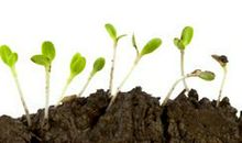 让美好的种子在青少年心中发芽