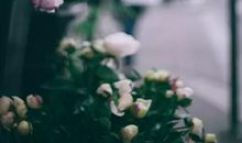 经典语录：幸福不是努力去爱，而是安心的生活