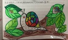 描写蜗牛的句子