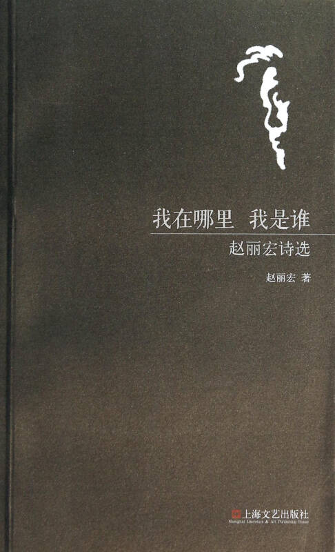 赵立宏：我学习上海的思考