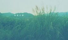 唯美意境的优美句段