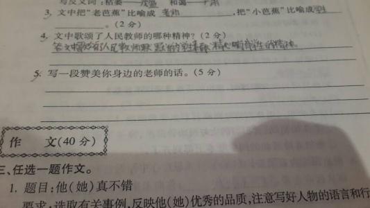 赞扬数学老师