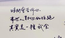 那些最美的句子