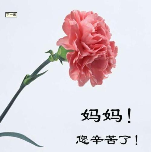 妈妈的生日祝福