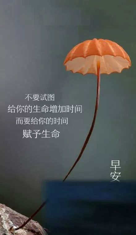 早上好，暖心的话
