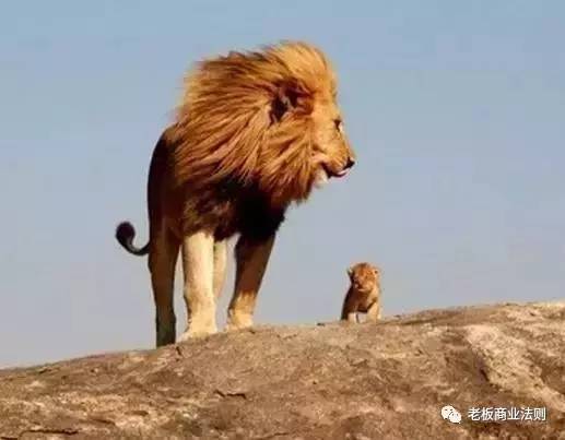 有钱人给穷人一头牛,但那头牛死了。你明白吗?