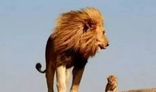 富人送了穷人一头牛，结果牛死了，你懂这个道理么？