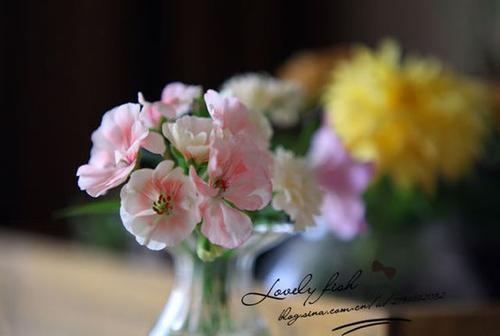 没有人会因为自尊而自满