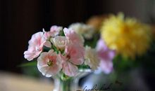 没有人会因为你的自尊心而委曲求全