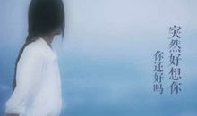 花开半夏经典台词